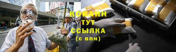 соль ск Богородск