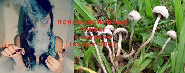 дурь Богданович