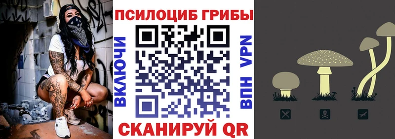 хочу   Новоуральск  ОМГ ОМГ рабочий сайт  Псилоцибиновые грибы Psilocybe 